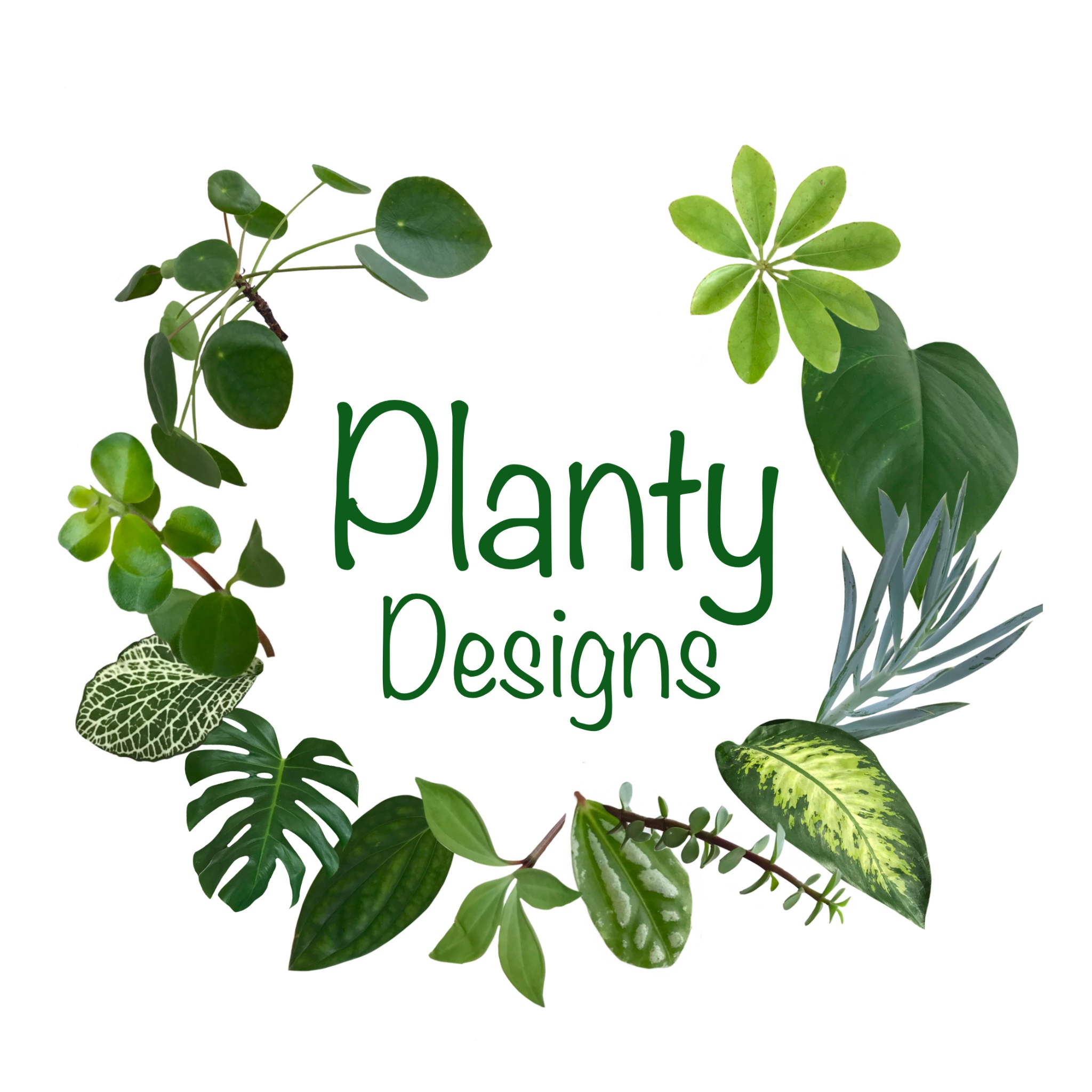 Planty Designs